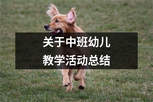 关于中班幼儿教学活动总结