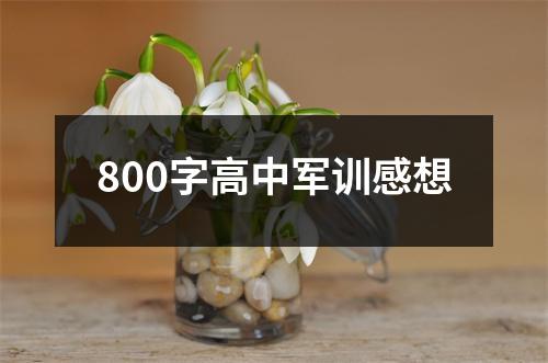 800字高中军训感想