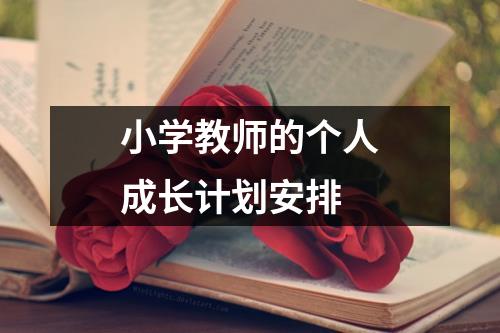 小学教师的个人成长计划安排