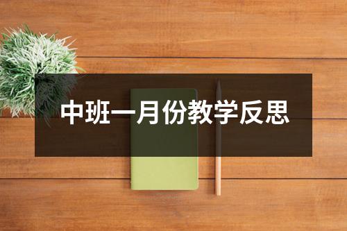 中班一月份教学反思