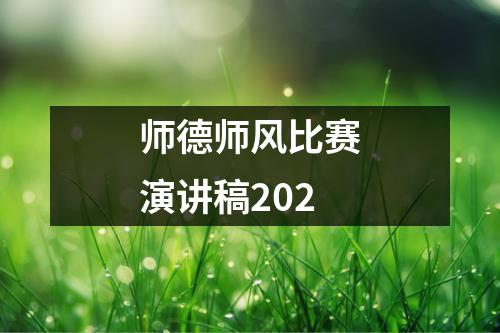 师德师风比赛演讲稿202