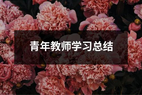 青年教师学习总结