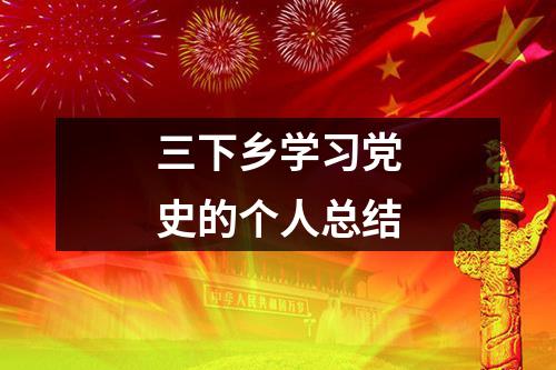 三下乡学习党史的个人总结