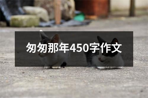 匆匆那年450字作文