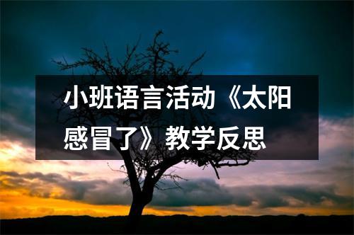 小班语言活动《太阳感冒了》教学反思