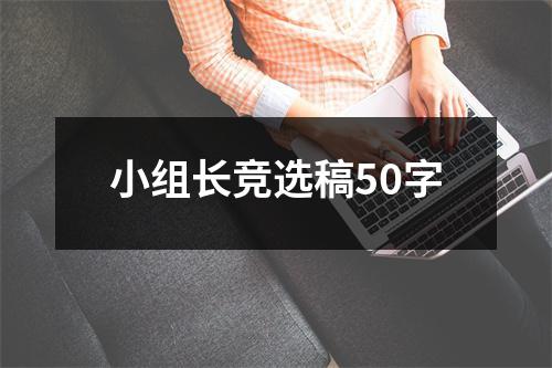 小组长竞选稿50字