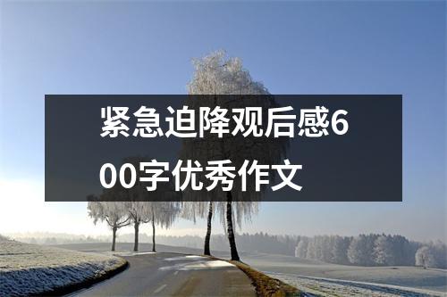 紧急迫降观后感600字优秀作文