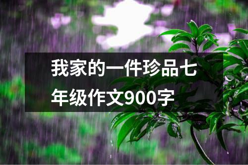 我家的一件珍品七年级作文900字