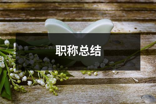 职称总结