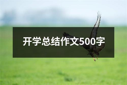 开学总结作文500字