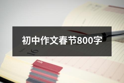 初中作文春节800字