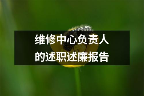 维修中心负责人的述职述廉报告