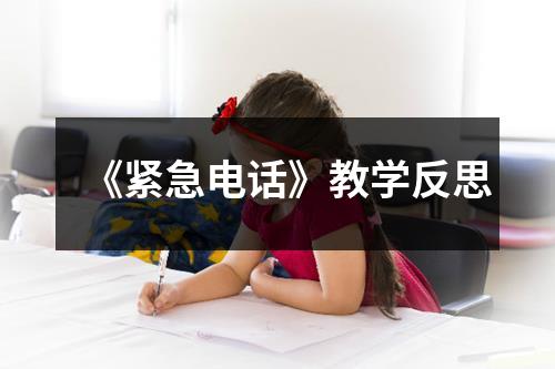 《紧急电话》教学反思