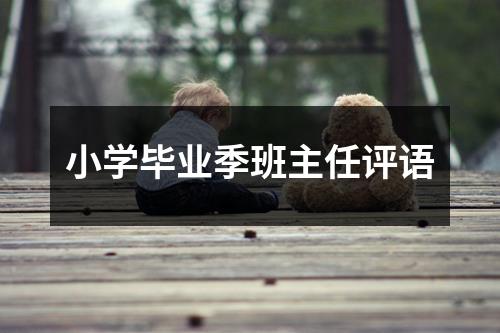 小学毕业季班主任评语