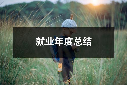 就业年度总结