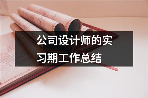 公司设计师的实习期工作总结