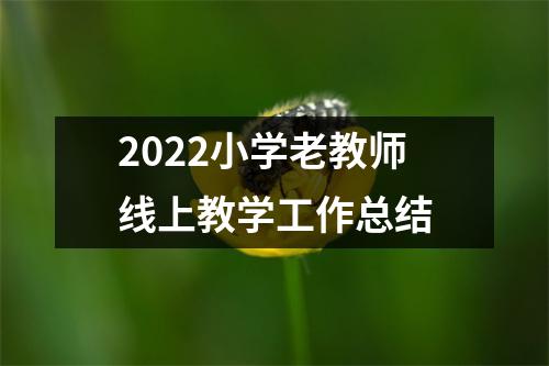 2022小学老教师线上教学工作总结