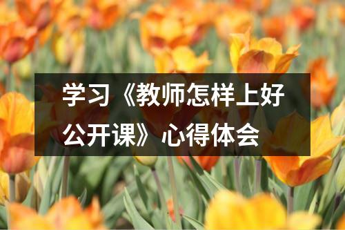 学习《教师怎样上好公开课》心得体会