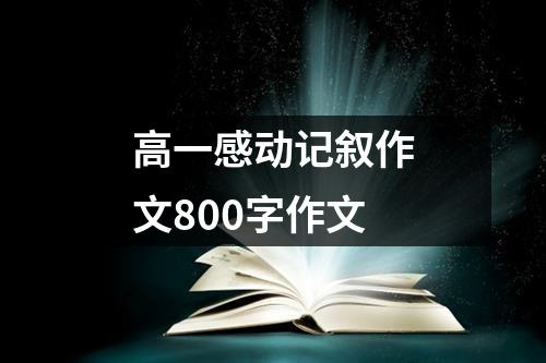 高一感动记叙作文800字作文