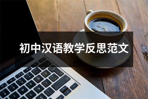 初中汉语教学反思范文