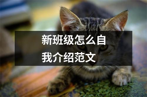 新班级怎么自我介绍范文