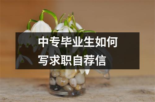 中专毕业生如何写求职自荐信