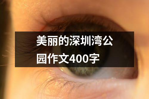 美丽的深圳湾公园作文400字