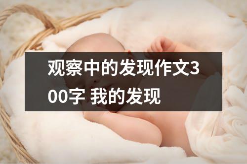 观察中的发现作文300字 我的发现