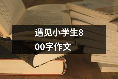 遇见小学生800字作文