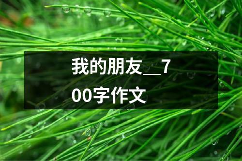 我的朋友＿700字作文