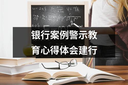 银行案例警示教育心得体会建行