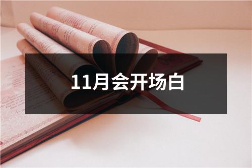 11月会开场白