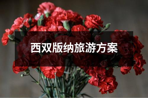 西双版纳旅游方案