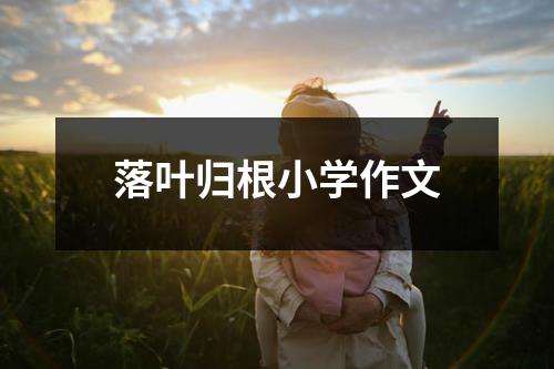 落叶归根小学作文