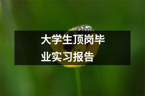 大学生顶岗毕业实习报告