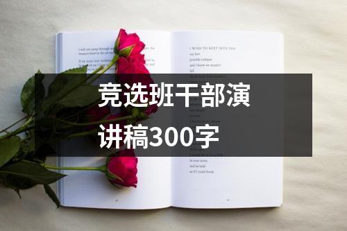 竞选班干部演讲稿300字