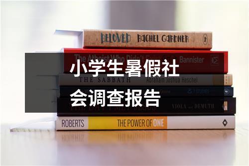 小学生暑假社会调查报告