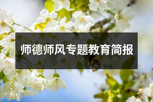 师德师风专题教育简报