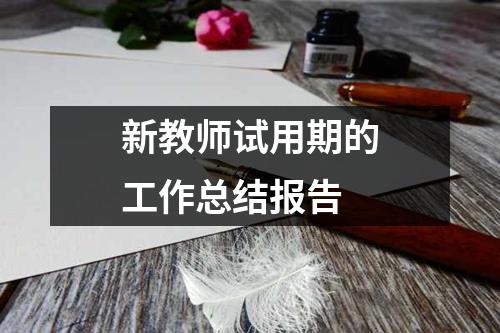 新教师试用期的工作总结报告