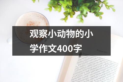 观察小动物的小学作文400字