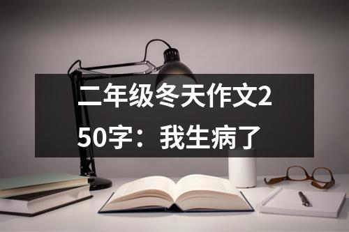 二年级冬天作文250字：我生病了