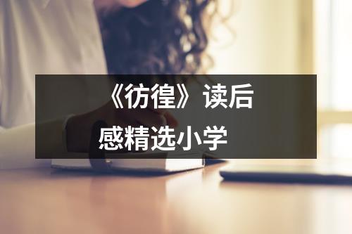 《彷徨》读后感精选小学