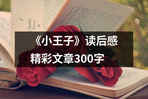 《小王子》读后感精彩文章300字