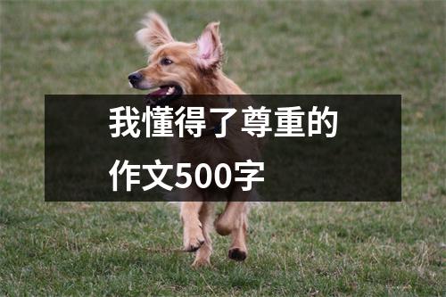 我懂得了尊重的作文500字