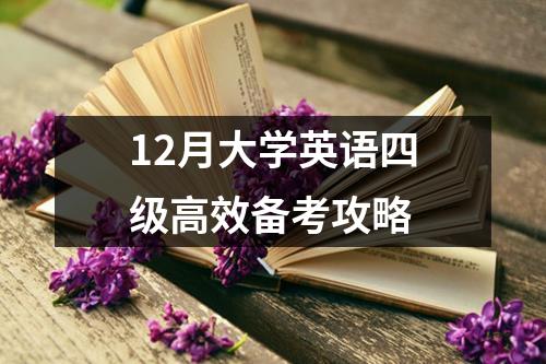 12月大学英语四级高效备考攻略