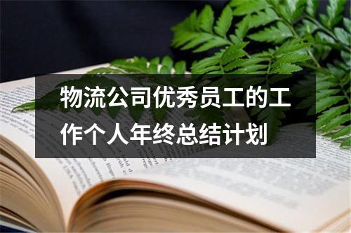 物流公司优秀员工的工作个人年终总结计划