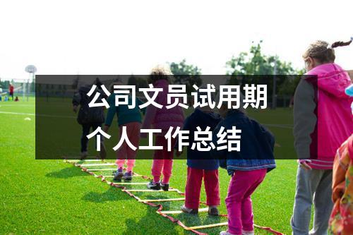 公司文员试用期个人工作总结