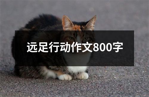 远足行动作文800字