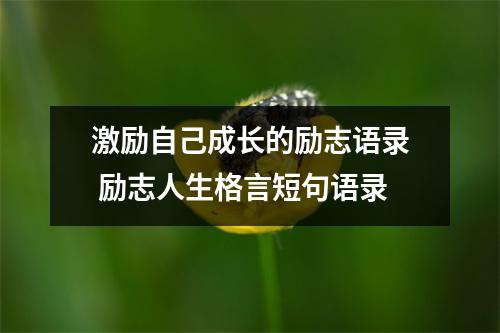 激励自己成长的励志语录 励志人生格言短句语录