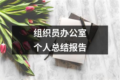 组织员办公室个人总结报告